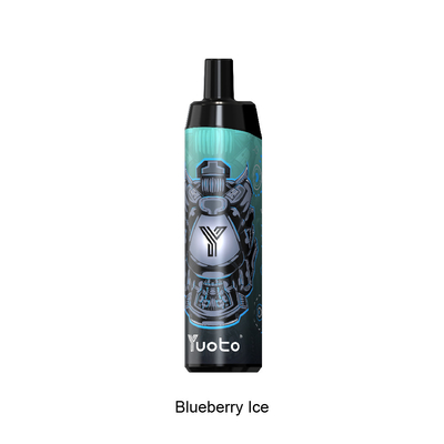 Groothandel Vape Pen 2022 New Design Wegwerp Vaporizer met Mesh Coil 14ml E-Liquid 650mAh Batterij Blueberry Ice
