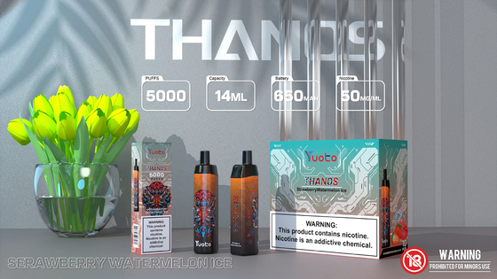 De Sigaret van Mesh Coil Rechargeable E, Yuoto Thanos 5000 Rookwolken 14ML 650mAh met Type C