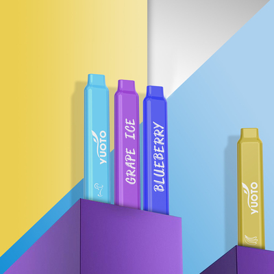 5% nicotine 600 Rookwolken Vape 12 Aroma'swegwerpproduct 2,0 ml Juice Capacity